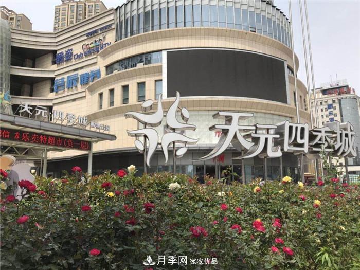 用臥龍?jiān)录净êＱb扮 把襄陽變得更美(圖9)