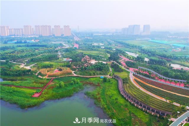 山東濟(jì)南的后花園，童話(huà)般月季花王國(guó)，300畝900個(gè)品種月季花盛放(圖4)