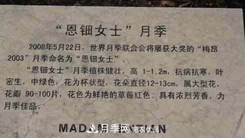 她潛心研究月季，帶領(lǐng)中國月季走向世界，被稱為“月季夫人”(圖9)