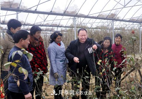 南陽月季集團總經理李付昌——月季大觀園里的拓荒者(圖1)