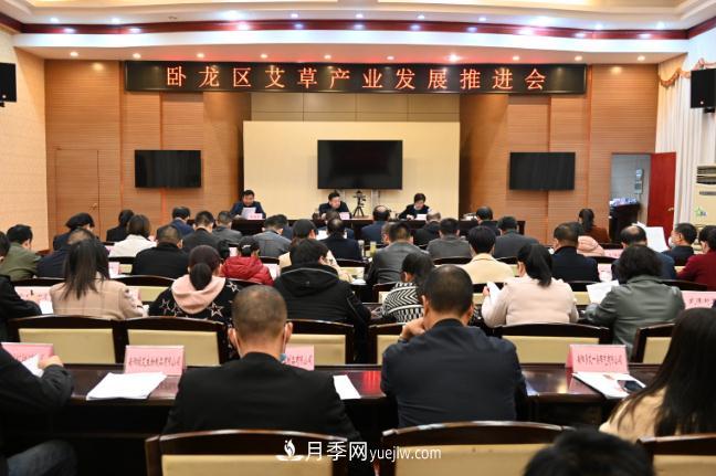 南陽(yáng)市臥龍區(qū)召開艾草產(chǎn)業(yè)發(fā)展推進(jìn)會(huì)(圖1)