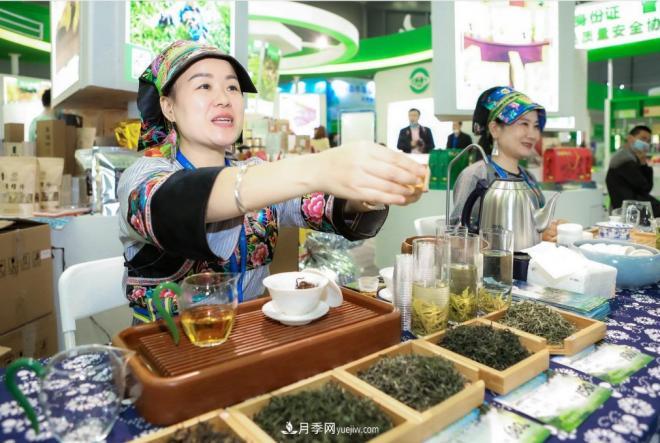 第二十二屆中國(guó)中部（湖南）農(nóng)業(yè)博覽會(huì)開(kāi)幕(圖2)
