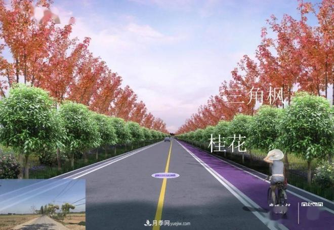 襄陽(yáng)樊城區(qū)景觀“一號(hào)公路”下個(gè)月通車，顏值驚人！(圖5)