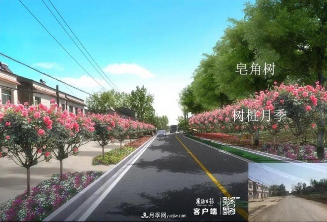 襄陽(yáng)樊城區(qū)景觀“一號(hào)公路”下個(gè)月通車，顏值驚人！(圖8)