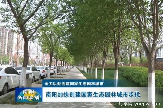 已種月季103萬多株，南陽加快創(chuàng)建國家生態(tài)園林城市步伐(圖1)