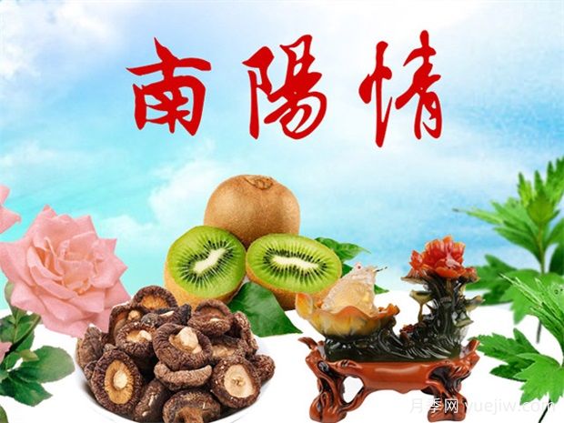 南陽適合春季旅游的十大景點(diǎn)(圖1)