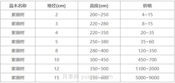 常用地徑4公分、5公分、10公分紫薇樹價(jià)格表(圖1)