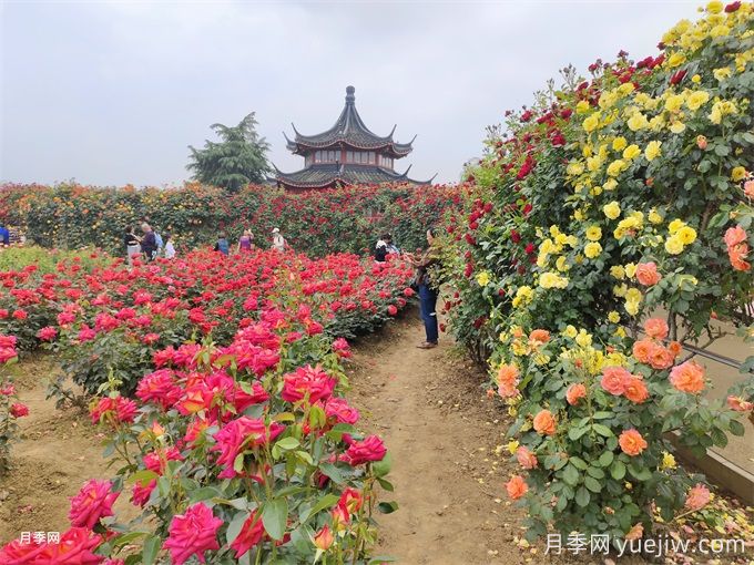中國(guó)園林八大造景手法(圖1)