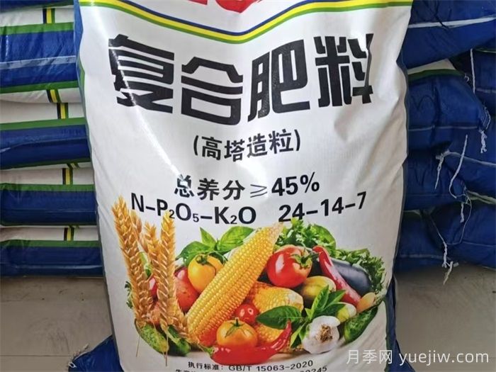 如何選擇和使用月季肥料？(圖1)
