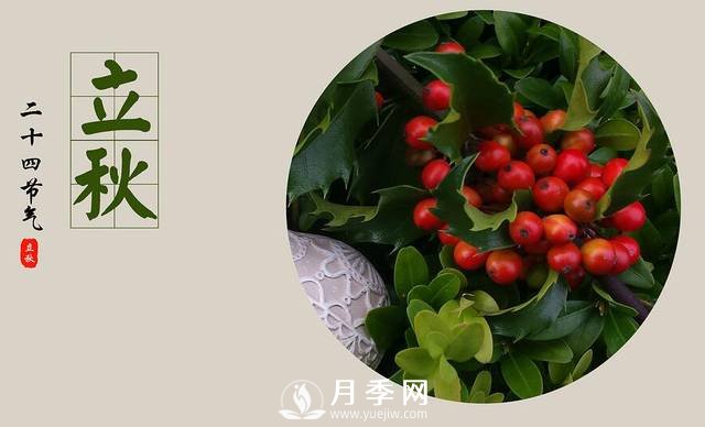 苗木人你知道苗木需要做什么養(yǎng)護(hù)嗎？(圖1)