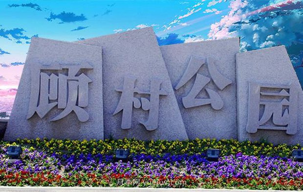上海顧村公園500多畝月季正處盛花期，5.1期間置身于月季花海(圖2)