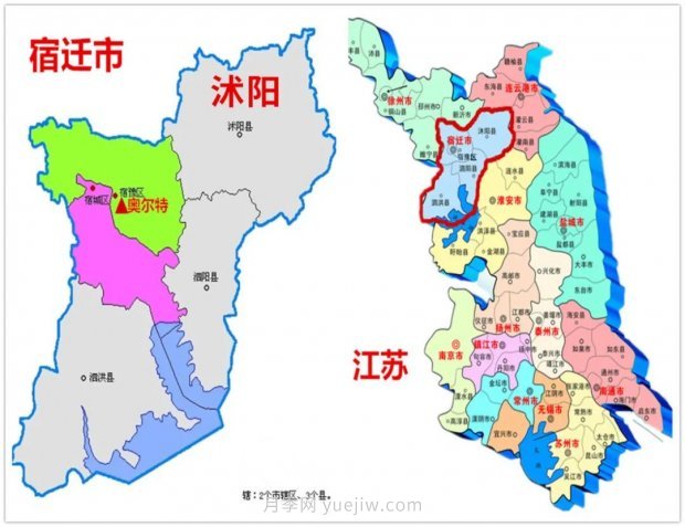 重拳出擊！江蘇沭陽“打假”扣押苗木10萬余株(圖3)