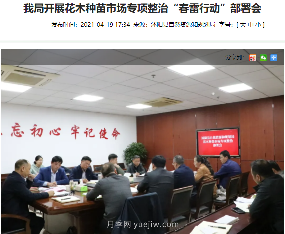 重拳出擊！江蘇沭陽“打假”扣押苗木10萬余株(圖2)