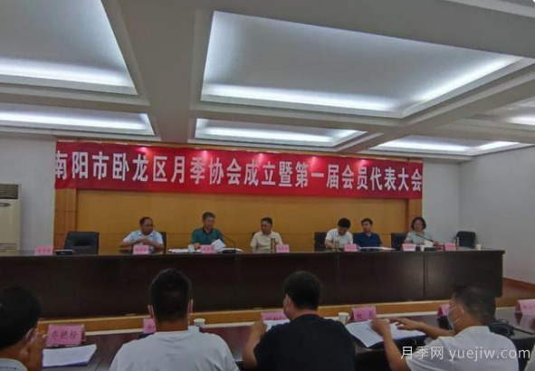 南陽市臥龍區(qū)月季協(xié)會(huì)成立，趙磊當(dāng)選會(huì)長(圖1)