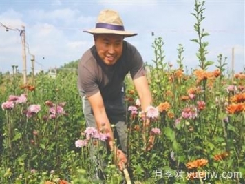 曲靖富源：聞著花香打工掙錢(qián)