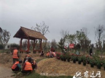醉美泗陽，月季花海，第十一屆中國月季展覽會(huì)4月28日開幕