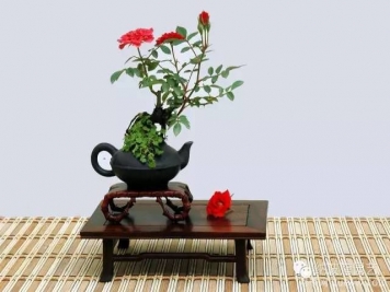如何制作漂亮的月季盆景？藝術(shù)品來(lái)了