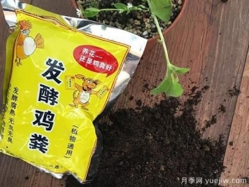花卉綠植常用三大花肥分析，有機(jī)肥、無機(jī)肥、發(fā)酵各種糞