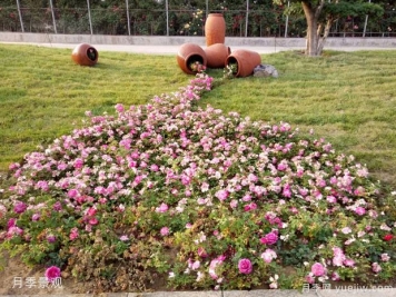 秋季樹木移植后如何養(yǎng)護(hù)才能提高成活率