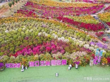 2022年?？谌敲坊ㄕ箚⒛唬迦富ㄍ躞@艷出場