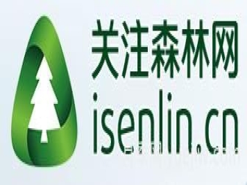 月季選苗時(shí)，要注意哪些事項(xiàng)？