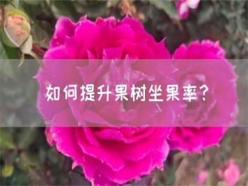 如何提升果樹坐果率？