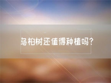 烏桕樹還值得種植嗎？