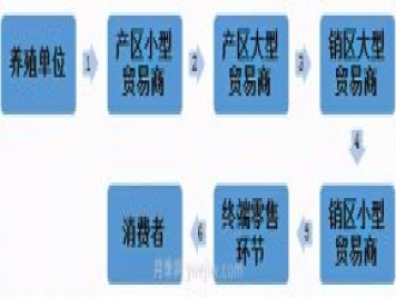 電商平臺(tái)：雞蛋銷售新渠道