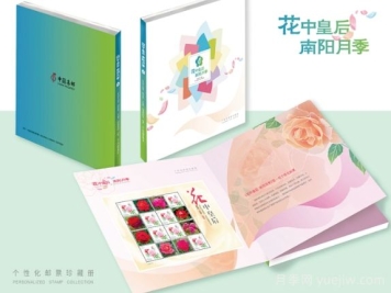 “國(guó)家名片”上綻放南陽(yáng)月季