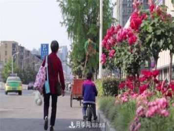 用臥龍?jiān)录净êＱb扮 把襄陽(yáng)變得更美