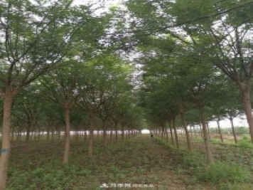 浙江滕頭園林今年做了兩件事，第二件將為你省一大筆錢！