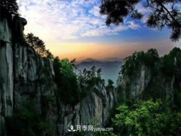 一縣一品公益助農(nóng)，河南南召特色農(nóng)產(chǎn)品辛夷