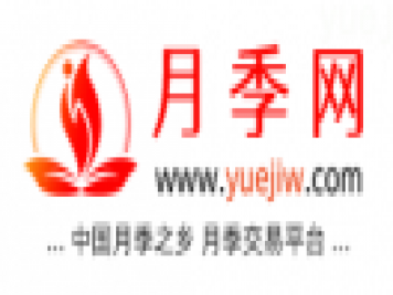 中國(guó)月季網(wǎng)，月季品種介紹和養(yǎng)護(hù)知識(shí)分享專業(yè)網(wǎng)站