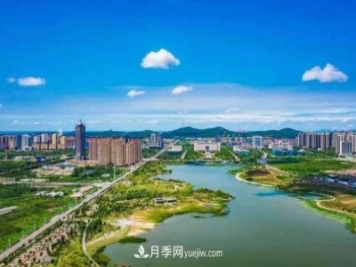 淮南市花、市樹是什么？是月季嗎？