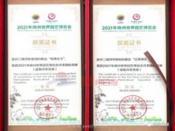 河北定州月季在揚(yáng)州世園會斬獲大獎，一金一銀兩銅！