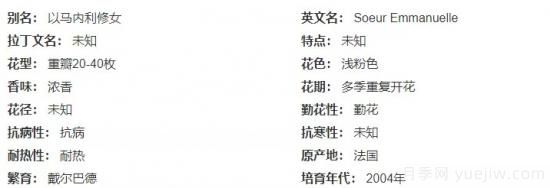推薦高顏值且好養(yǎng)的10個藤本月季，看一眼就愛上(圖8)