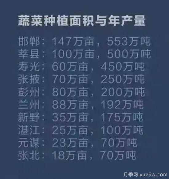 叫響南陽(yáng)蔬菜品牌，新野蔬菜基地和社旗蔬菜基地打牢基礎(chǔ)(圖1)
